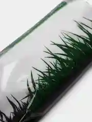 Газон Минипут (медленнорастущий) 1,0 кг (в коробке)