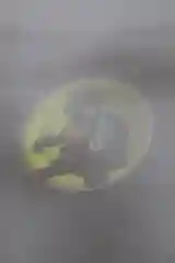 Лазурный игровой набор "Черепашки ниндзя"