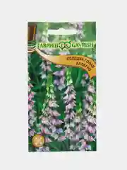 Семена Солодка "Аллегро", Гавриш, 0,05 г