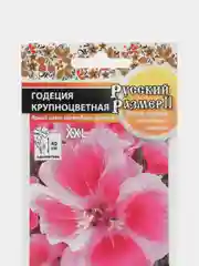 Семена Годеция "Крупноцветная XXL", Русский размер, 100 семян