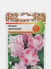 Семена цветов "Ипомея Шантеклер"