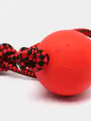 Игрушка для собак мячик и канат