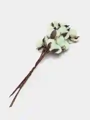 Молочный хлопок натуральный, искусственные цветы, хлопок на стебле, сухоцвет
