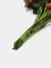 Красный тычинки для рукоделия ,ягоды в пучке