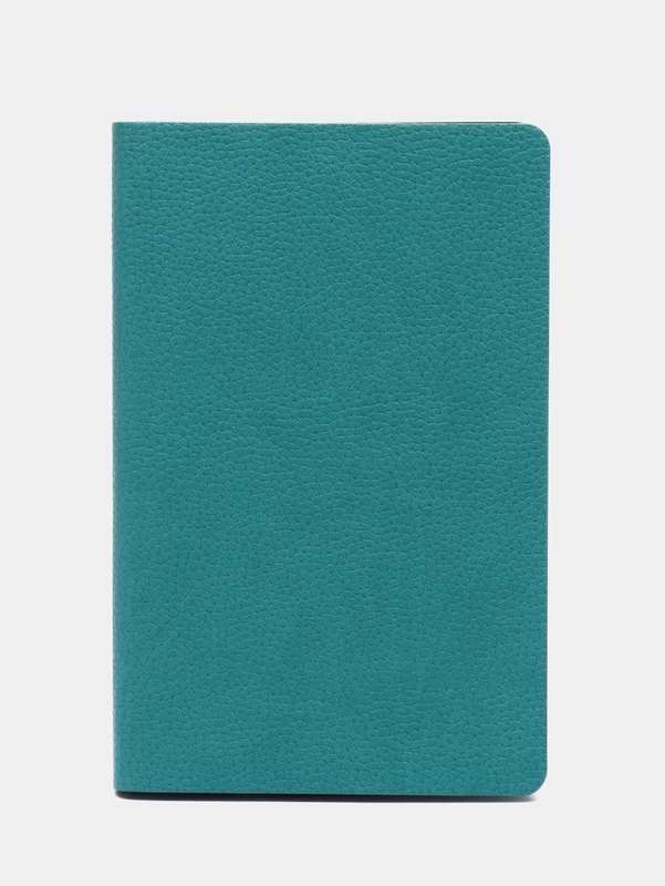 Ежедневник-планер (планинг) - блокнот недатиров. А5 BRAUBERG экокожа, гибкий 160л, 111862