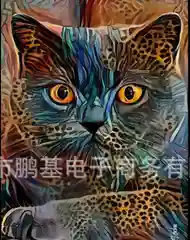 Шоколадный алмазная мозаика без подрамника  Животные," Кошка арт " 30/ 40 см