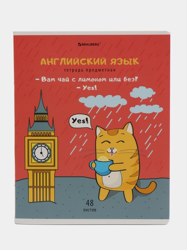 Тетрадь общая для школы Кот-энтузиаст 48 листов Английский Язык, клетка Brauberg, 404558