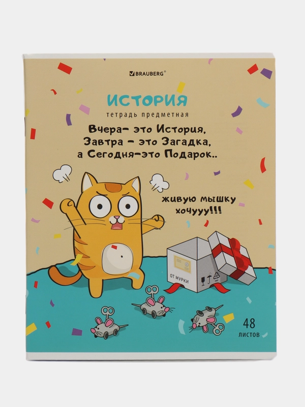 Тетрадь общая для школы предметная Кот-энтузиаст 48 листов История, клетка Brauberg 404563