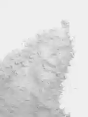 Скульптурно-литьевая смесь для 3D литья "Умный гипс", 500гр