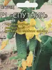 Семена Огурец "Спутник"
