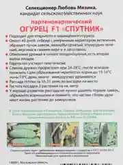 Семена Огурец "Спутник"