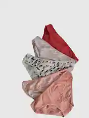 Пудровый трусы слипы женские, подростковые, хлопок, набор по 5, 3 и 2 шт, S-42