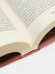 Грифоны охраняют лиру 2-е изд., Соболев А.Л.