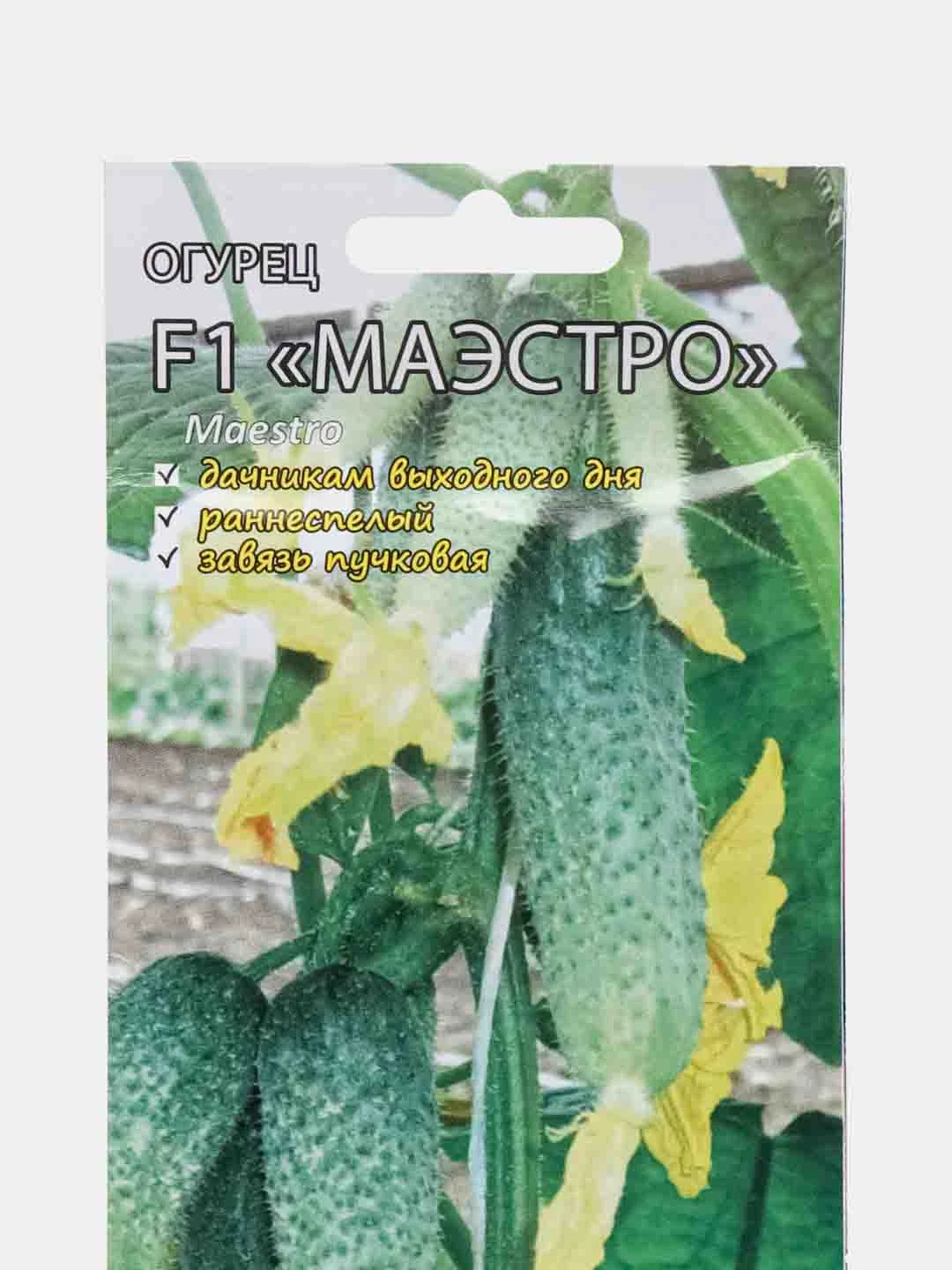 Семена Огурец "Маэстро"