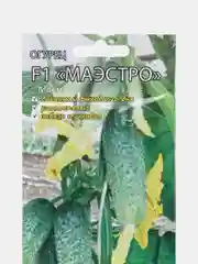Семена Огурец "Маэстро"