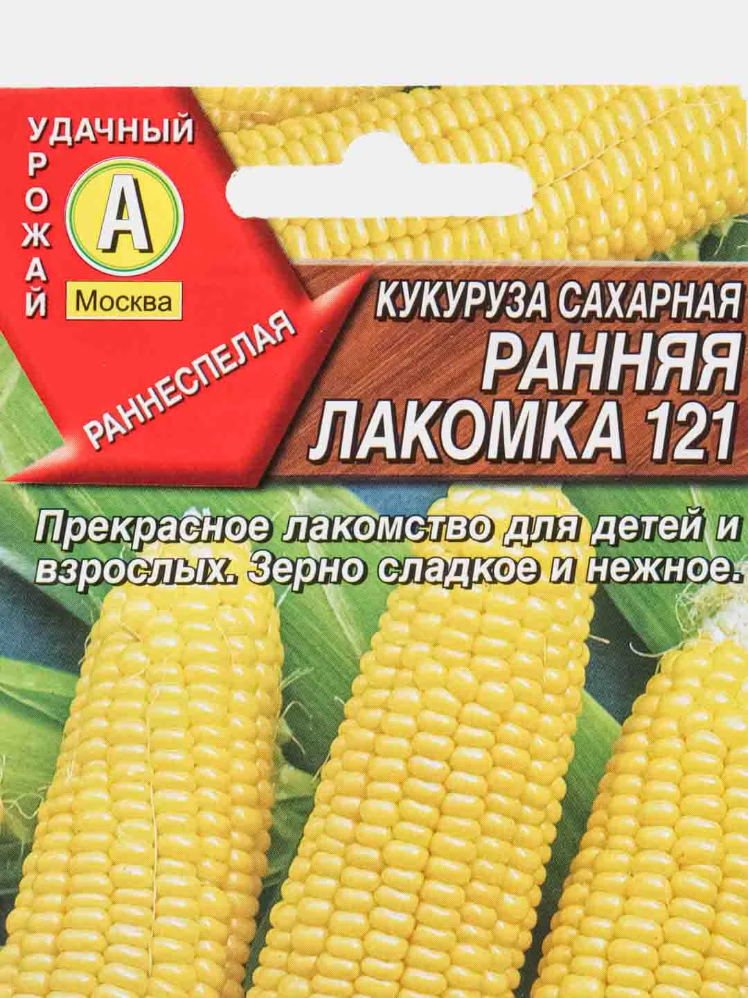 Семена КУКУРУЗА САХАРНАЯ+подарок!