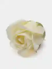 Кремовый мыльные розы, 50 штук