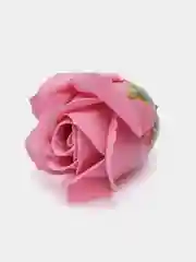 Кремовый мыльные розы, 50 штук