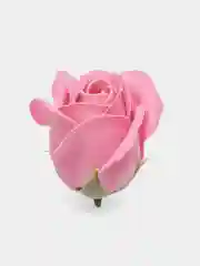 Кремовый мыльные розы, 50 штук