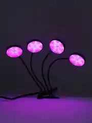 Фиолетовый фитолампа для растений светодиодная R-Led, два спектра 4*15 ВТ, с таймером