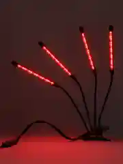Черный фитолампа для растений светодиодная R-Led, два спектра 4*15 ВТ, с таймером