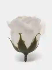 Белый мыльные розы, 50 штук