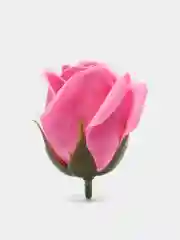 Розовый мыльные розы, 50 штук