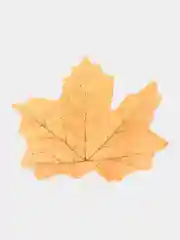 Листья осенние 9*6см
