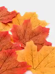 Листья осенние 9*6см