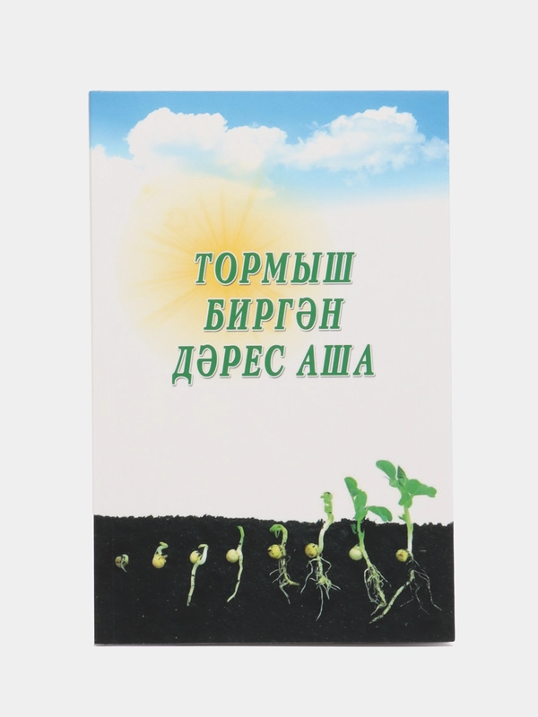 Тормыш биргән дәрес аша. Сквозь уроки жизни, Галимуллина Г.