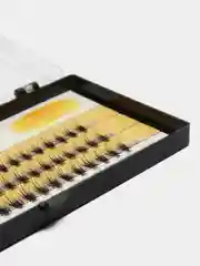 Пучки накладных ресниц False Eyelash 20D