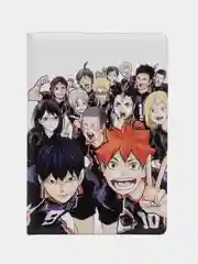 Обложка чехол на паспорт Волейбол (Haikyuu!!)