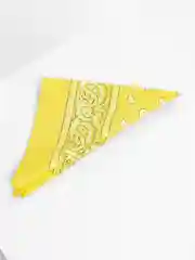 Оливковый бандана