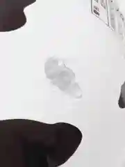Черный надувной круг для детей