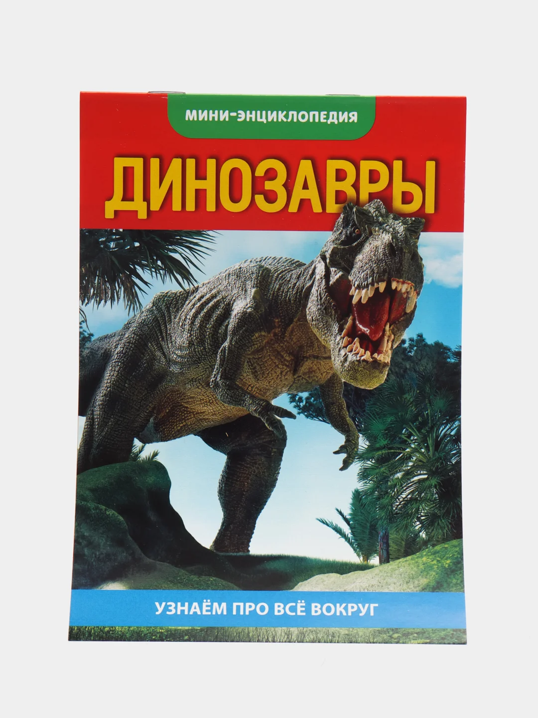Фуксия книга для детей Мини - энциклопедии