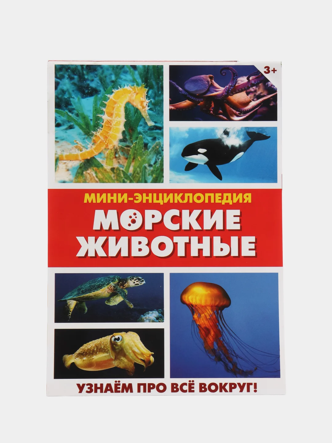 Фуксия книга для детей Мини - энциклопедии