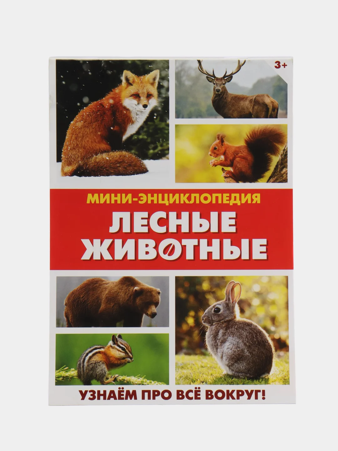 Фуксия книга для детей Мини - энциклопедии