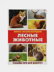 Фуксия книга для детей Мини - энциклопедии