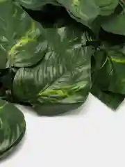 Искусственные растения, лиана, для декора, искусственные цветы