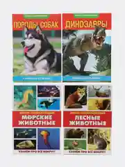Фуксия книга для детей Мини - энциклопедии