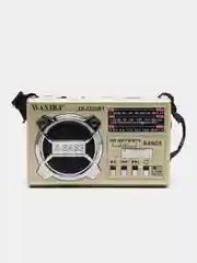 Золотой радио с фонарем и mp3 плеером WAXIBA XB-322 AM/FM, USB, SD радиоприемник