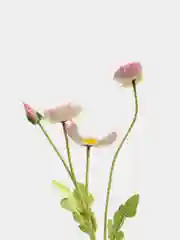 Розовый искусственные цветы маки, ветка мака 1шт, 3шт