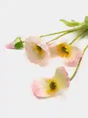 Розовый искусственные цветы маки, ветка мака 1шт, 3шт