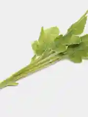 Розовый искусственные цветы маки, ветка мака 1шт, 3шт