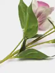 Сиреневый искусственные цветы эустома, ветка эустомы