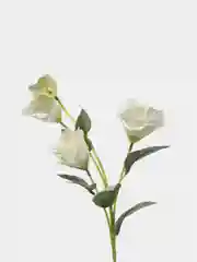 Белый искусственные цветы эустома, ветка эустомы