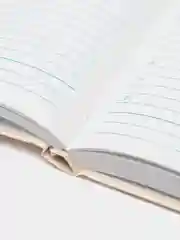 Ежедневник-планер (планинг), записная книжка, блокнот недатированный А5, 113524