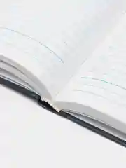 Ежедневник-планер (планинг), записная книжка, блокнот недатированный А5, 113522