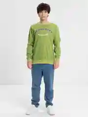 Толстовка