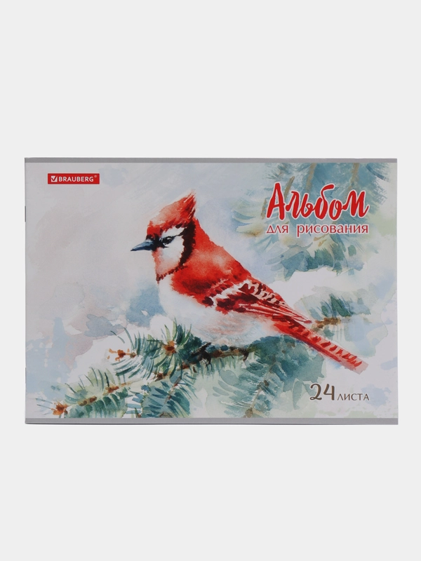 Альбом для рисования, А4, 24 листа